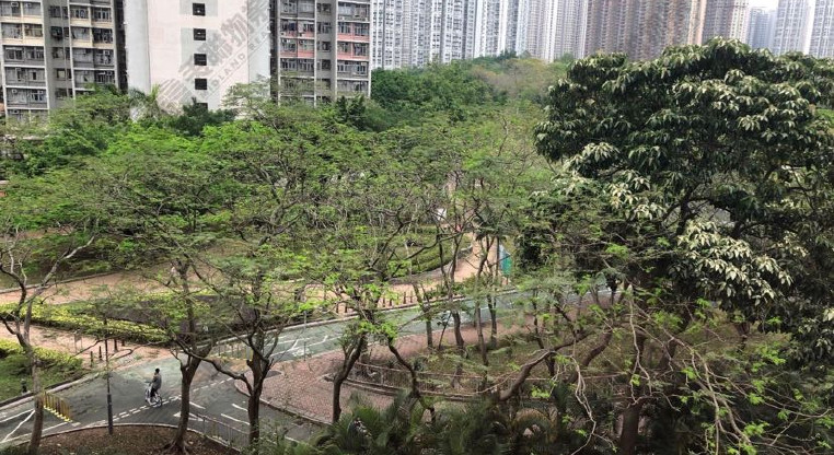 盤源圖片8