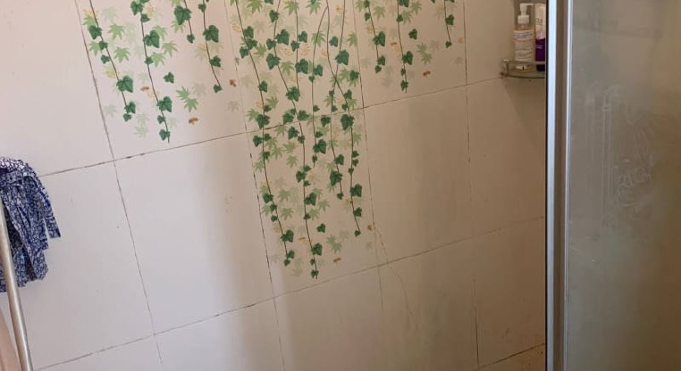 盤源圖片8