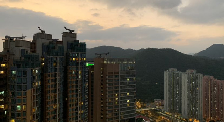 盤源圖片6