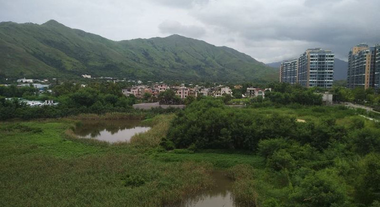 盤源圖片1