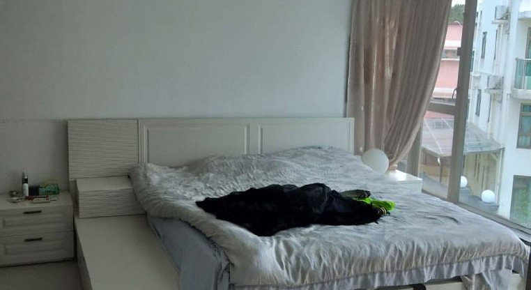 盤源圖片10