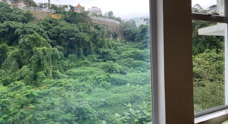 盤源圖片10