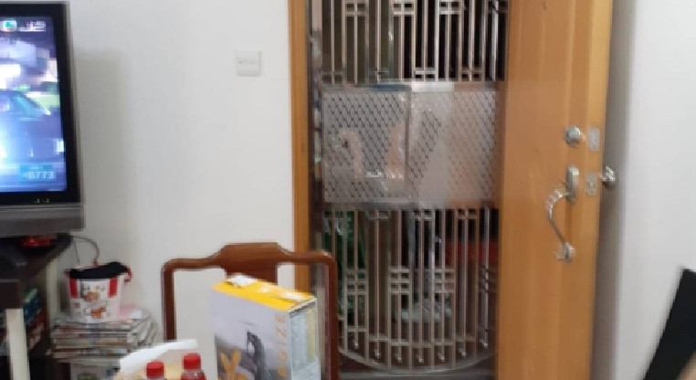 盤源圖片1