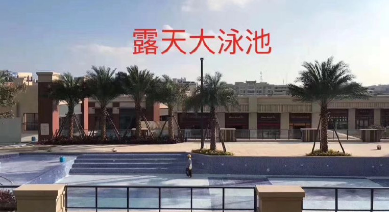 盤源圖片3