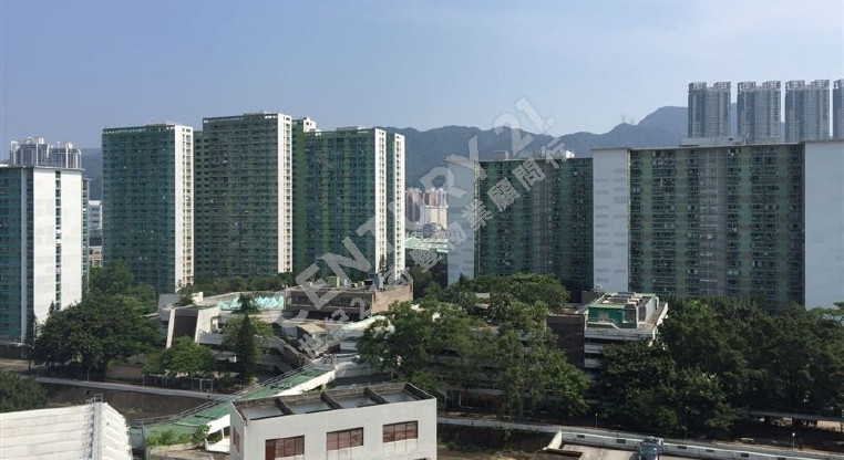 盤源圖片4