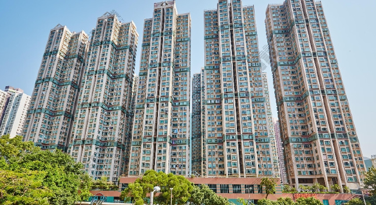 盤源圖片11