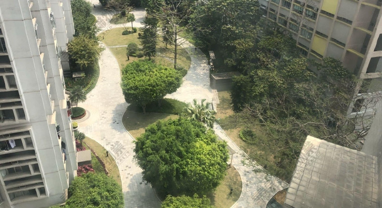 盤源圖片10