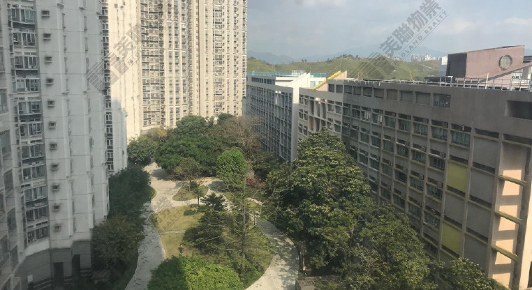 盤源圖片3