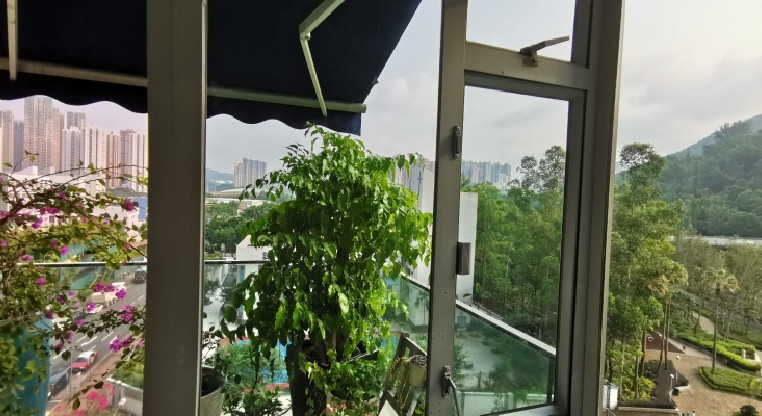 盤源圖片2