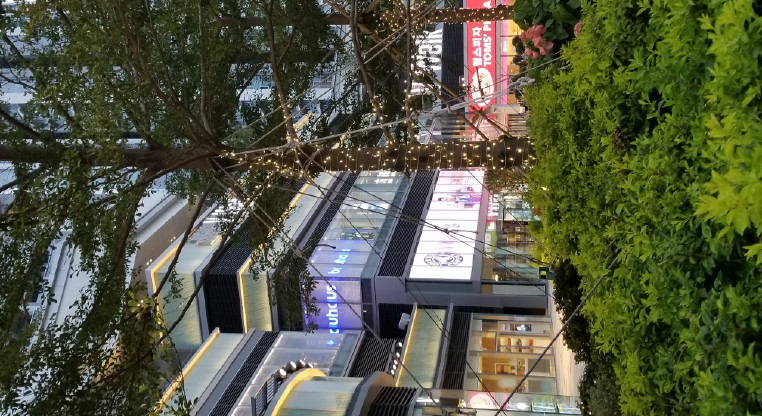 盤源圖片6