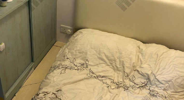 盤源圖片2