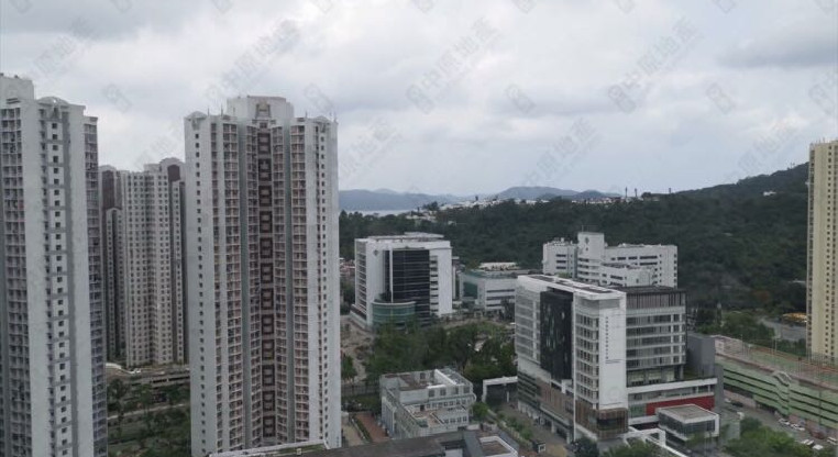 盤源圖片6