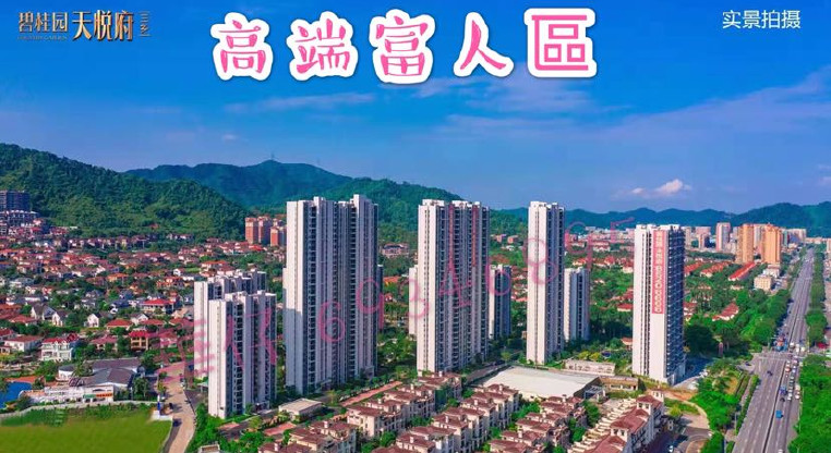 盤源圖片8