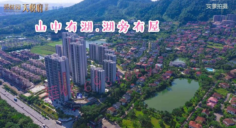盤源圖片9