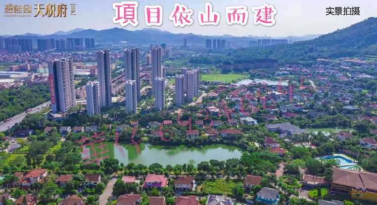 盤源圖片10