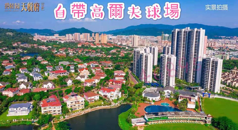 盤源圖片7