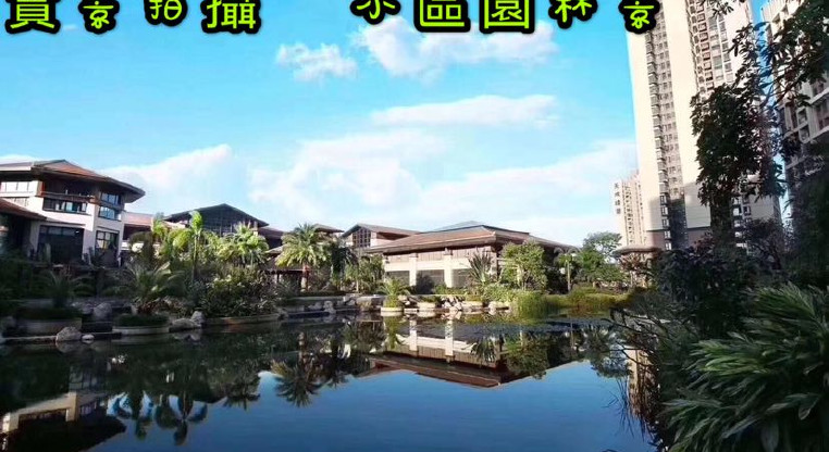 盤源圖片3