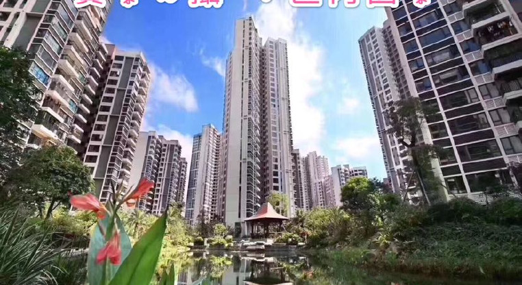 盤源圖片4