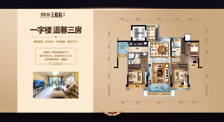 盤源圖片15