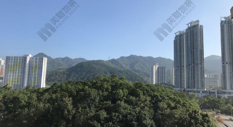 盤源圖片8