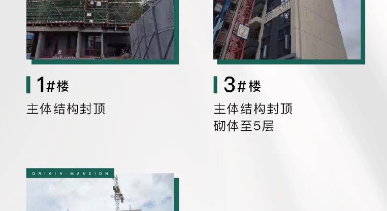 盤源圖片13