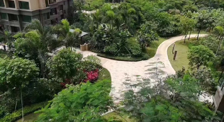 盤源圖片10