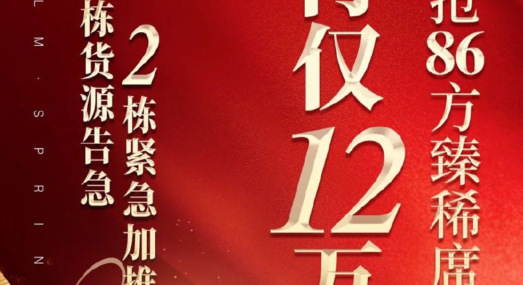 盤源圖片7