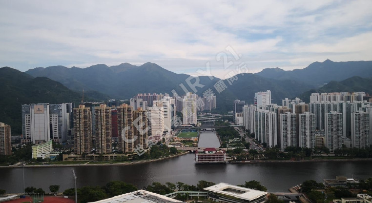 盤源圖片1