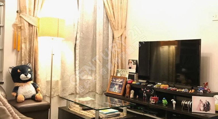 盤源圖片2