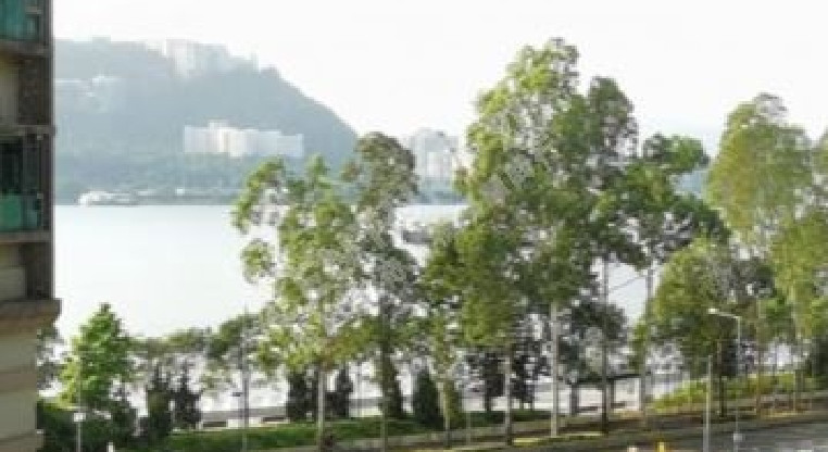 盤源圖片5