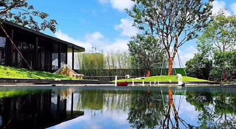 盤源圖片9