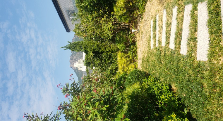盤源圖片6