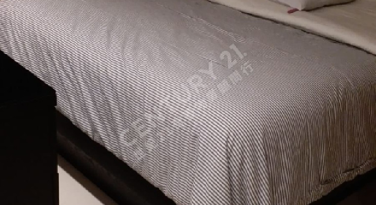 盤源圖片4