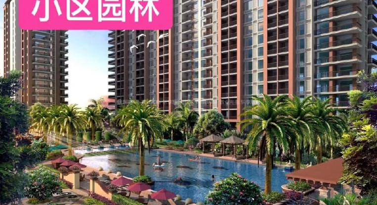 盤源圖片8