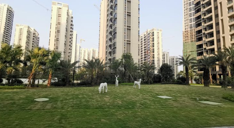 盤源圖片9