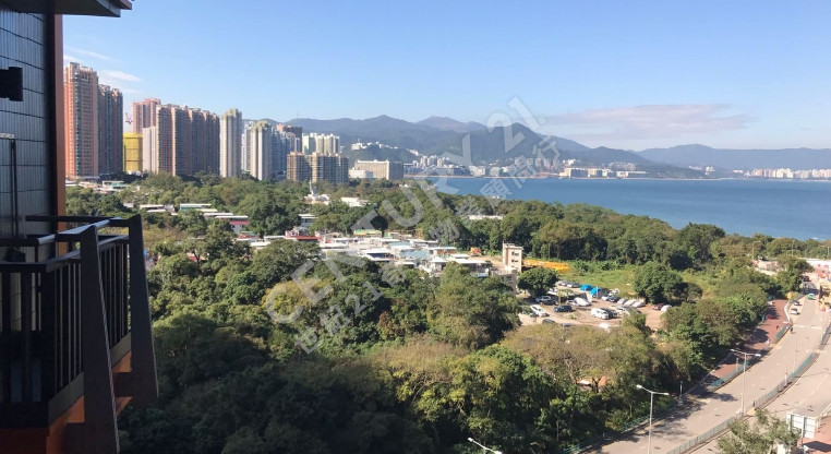 盤源圖片2