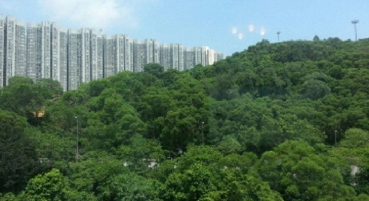 盤源圖片2
