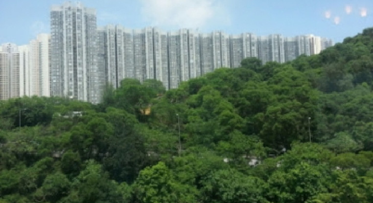 盤源圖片6