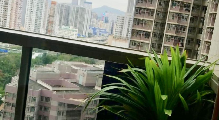 盤源圖片13