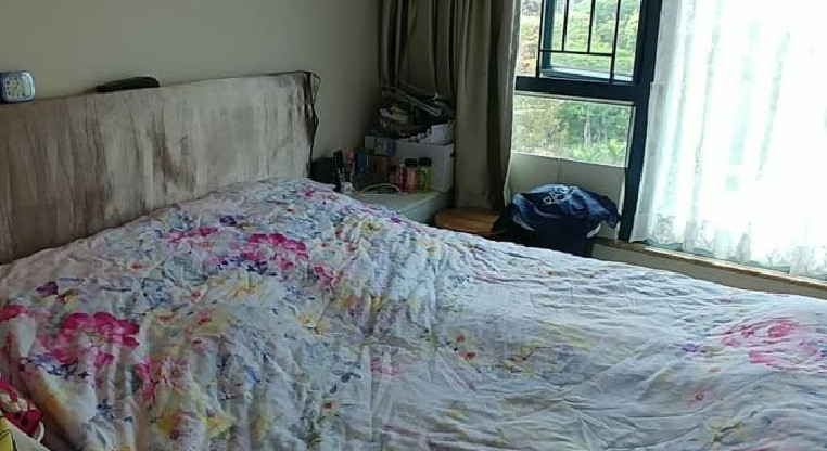 盤源圖片3