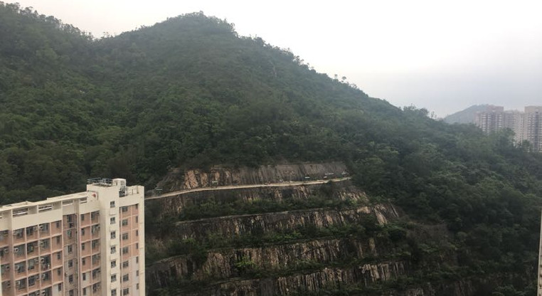 盤源圖片13