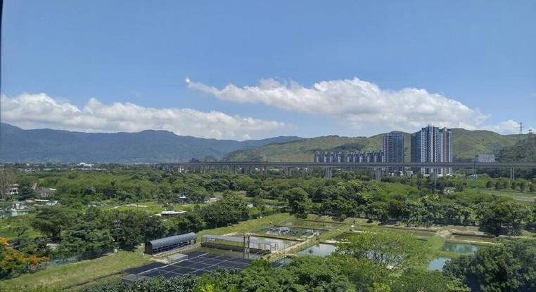 盤源圖片13