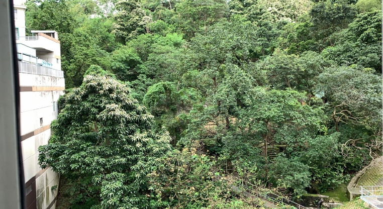盤源圖片1
