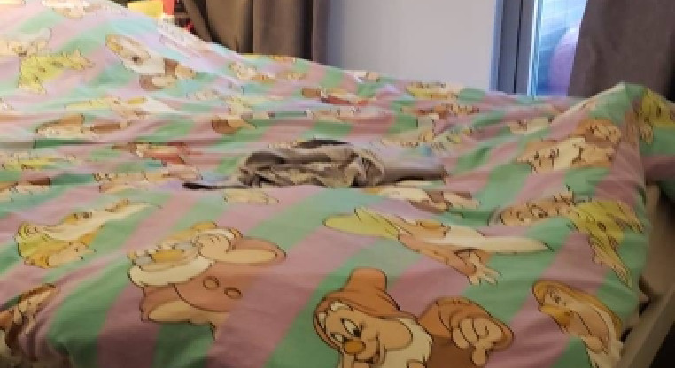 盤源圖片2