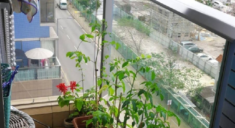 盤源圖片4