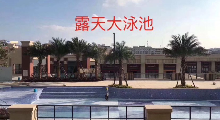 盤源圖片5