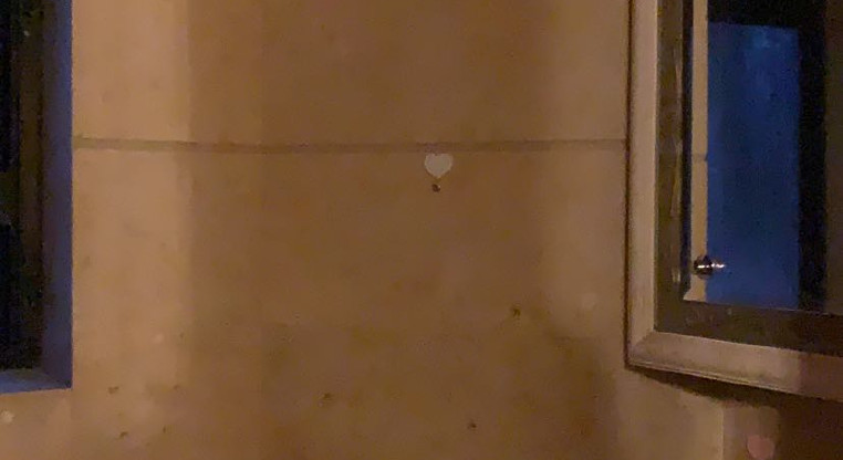 盤源圖片8