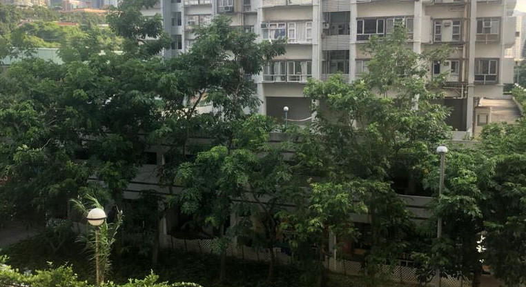 盤源圖片7