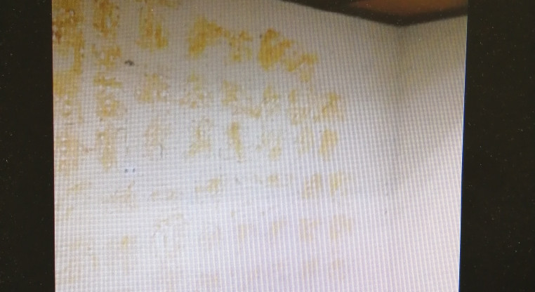 盤源圖片3