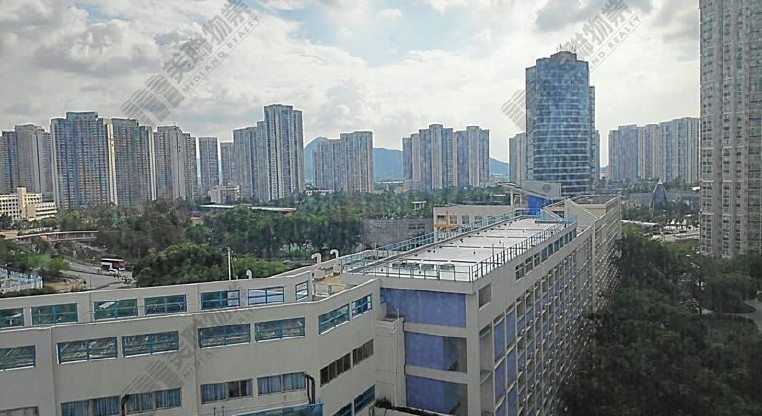 盤源圖片3